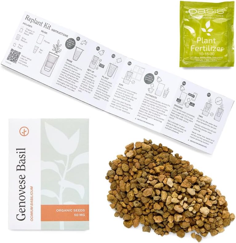 Modern Sprout Mason Garden Jar + Replant Kit - Self-Watering Hydroponics Growing System Kit w/Organic Herb Seeds - Jar Planter for Indoor Herb Garden - Seed Starter - Home Decor Gifting - Basil