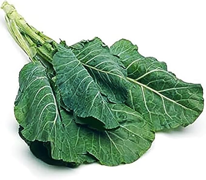 Georgia Southern Collard Seeds - Dark Blue-Green Cabbage-Like Delicious Leaves - Large Package