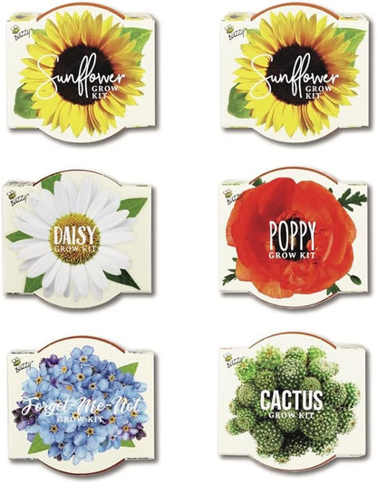 BUZZY Seeds Mini Terracotta Grow Pots Daydream Collection, Assorted 6-Pack Flower and Plant Seed Starter Kit for Kids and Adults, Indoor Gardening Gift, Holiday Present, Stocking Stuffer