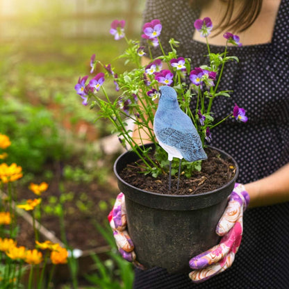 HEEPDD Soil Moisture Sensor Meter with Bird Design, Plant Watering Alarm Device for Indoor Outdoor Potted Plants