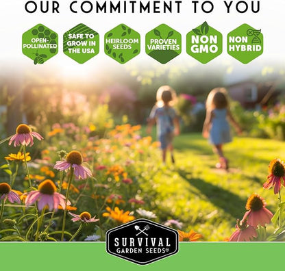 10 Flower Seed Collection for Planting | Zinnia, Sunflower, Marigold, Snapdragon, Nasturtium, Morning Glory, Chamomile, Shasta Daisy, Purple Coneflower, Four O’Clock - Survival Garden Seeds