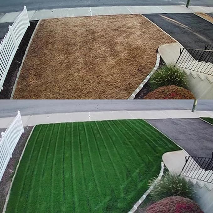 NightShift (Formerly Blackout) Kentucky Bluegrass & Perennial Ryegrass Grass Seed (25 lbs)