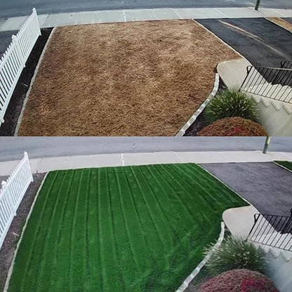 NightShift (Formerly Blackout) Kentucky Bluegrass & Perennial Ryegrass Grass Seed (10 lbs)