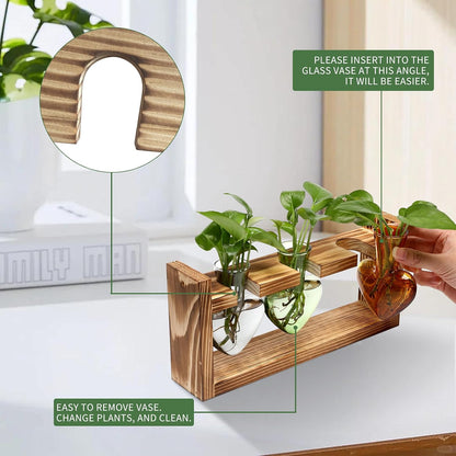 Plant Terrarium Propagation Stations Hydroponics Home Garden Decoration Gift for Women with Wooden Stand Heart Shaped Colored Glass Vase