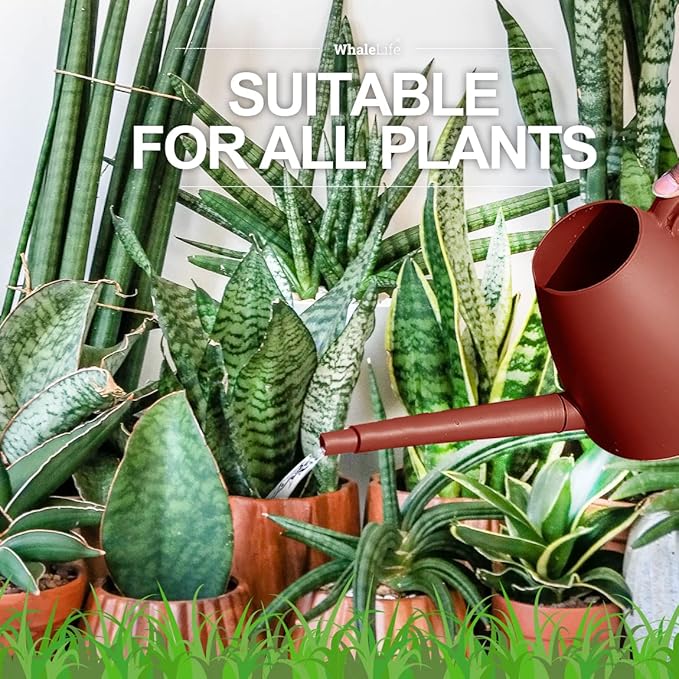 WhaleLife Indoor Watering Can for House Bonsai Plants (2.0L, Terra-Cotta Red)