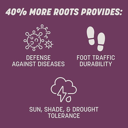 Pennington The Rebels Tall Fescue Shady Grass Seed Mix 20 lb