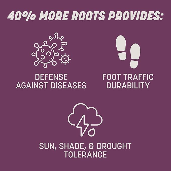 Pennington The Rebels Tall Fescue Shady Grass Seed Mix 3 lb