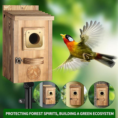 2 Pack Bird Houses for Outside Clearance, Pine Wood Birdhouses for Outdoors with Copper Guard, Farmhouse Bluebird Finch Swallow Wren Hummingbird House