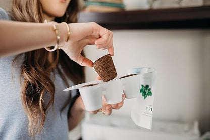 Click & Grow Indoor Herb Garden Kit with Grow Light | Smart Garden for Home Kitchen Windowsill | Easier Than Hydroponics Growing System | Vegetable Gardening Starter (3 Basil Pods Included), Sage