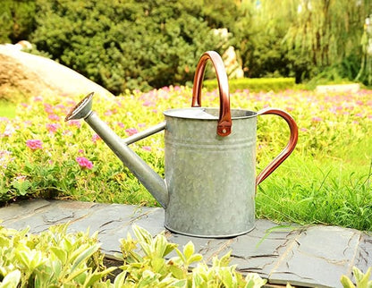 Metal Watering Can, One Gallon Watering Cans Stainless Steel for Outdoor Indoor Garden Plants Watering (Zinc 1 Gallon)