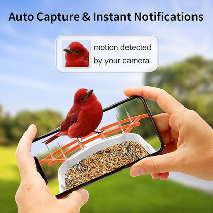 Bird Feeder with Camera,Smart Bird Feeder Camera with Solar Powered,AI Identify Birds Species,Bird Watching,Auto Record FHD 2K Feathered Visitor Video in Backyard,Ideal Gifts for Birds Lovers
