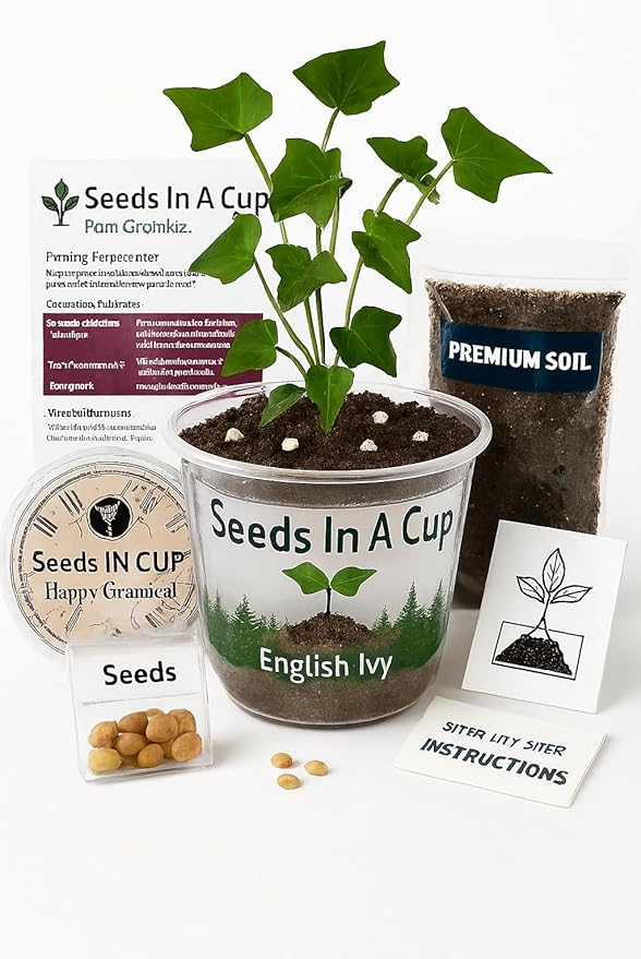 Tree Grow Kit | Easy to use | Educational | Memorial Gift | Plant It for The Planet | Grow Your Own Tree |Wide Selection to Choose from (Southern Magnolia)