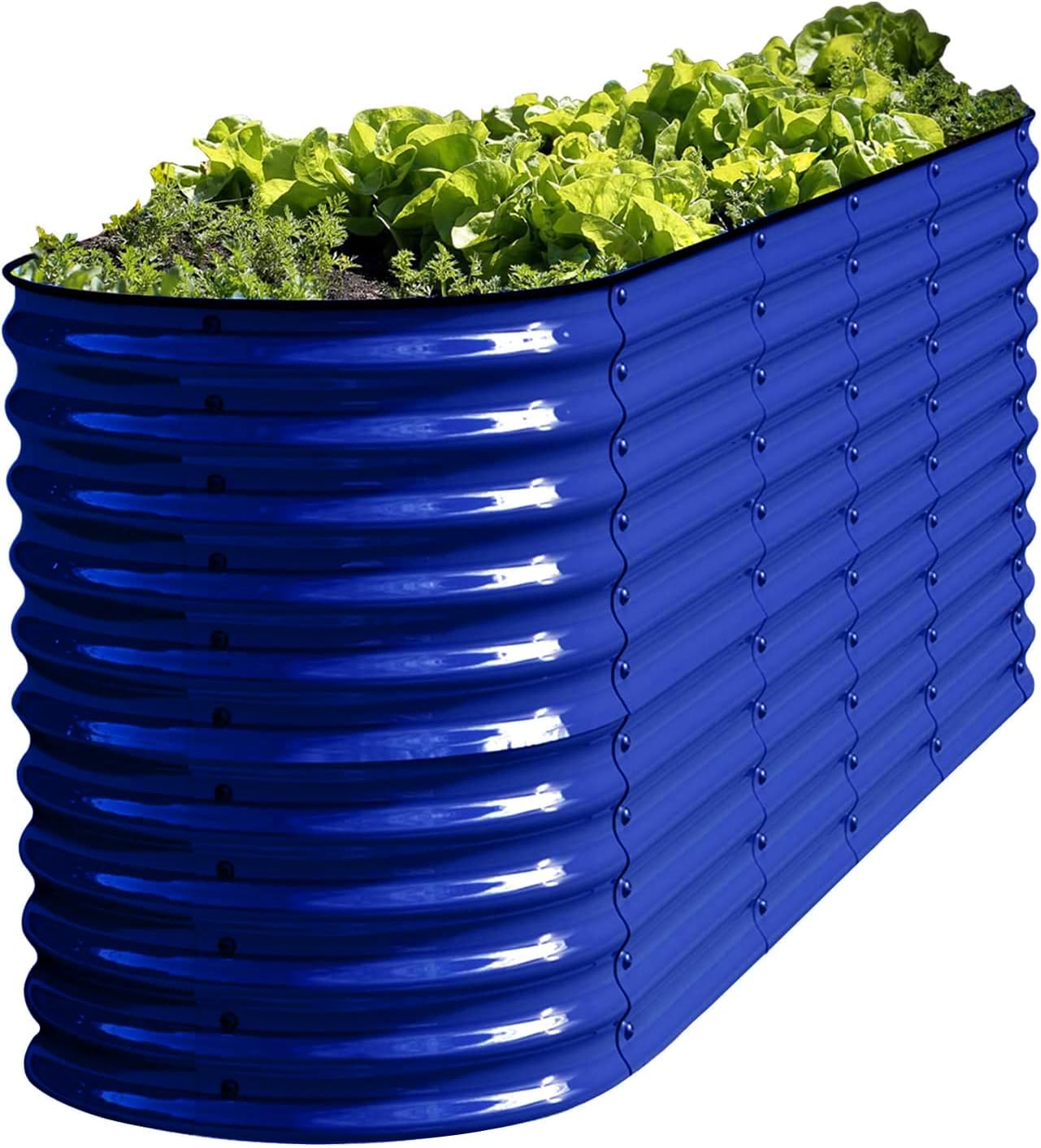 Olle Galvanized Raised Garden Beds 32" Tall Metal Plant Boxes for Outdoor Vegetables, 12-in-1 Garden Bed, Cobalt Blue