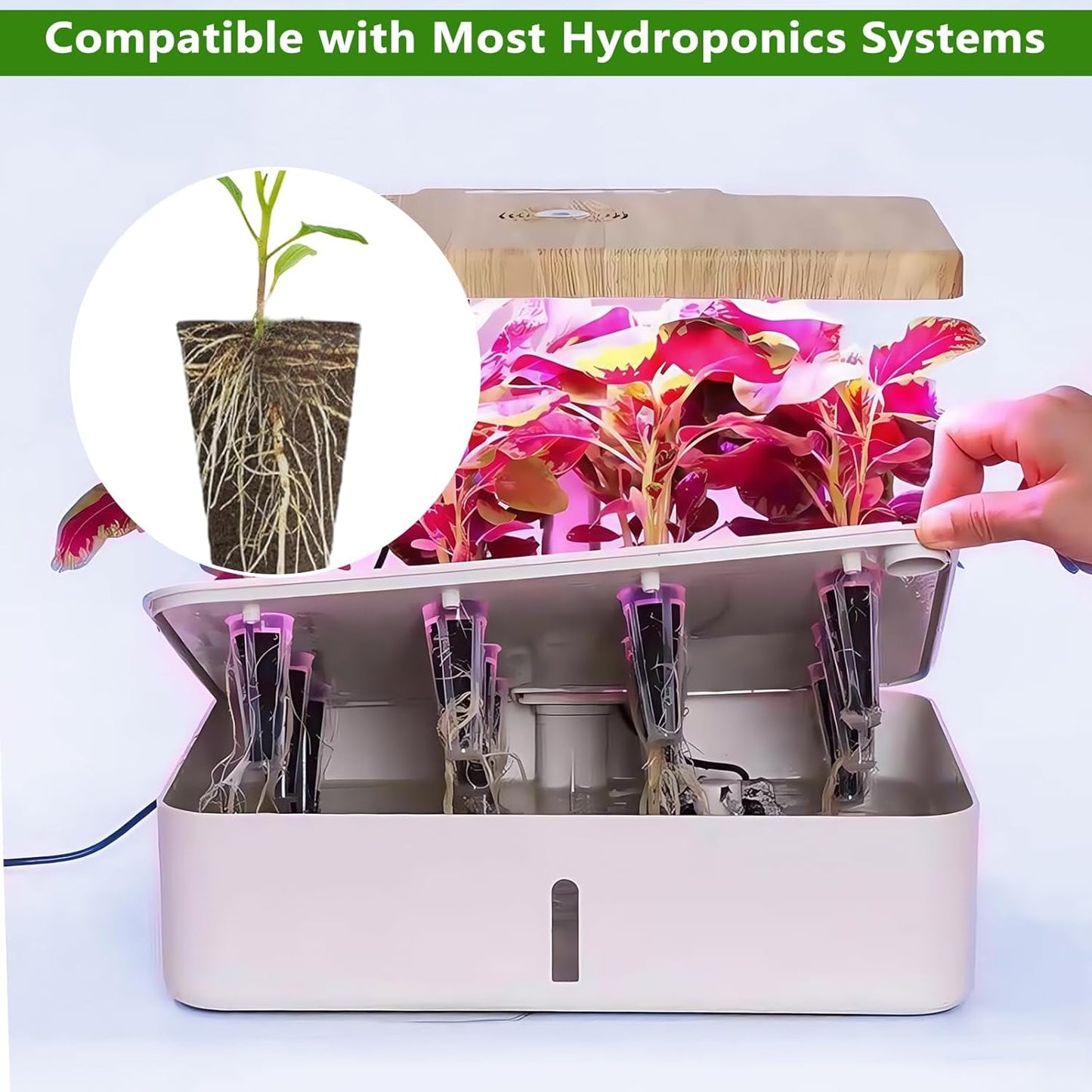 kathson 100PCS Grow Sponges for Hydroponics,Garden Cube Grow Sponges,Replacement Garden Seed Starter Pods Hydroponic Growing System,Hydroponics Sponge Kit with 10 Plant Labels and 1 Tweezer