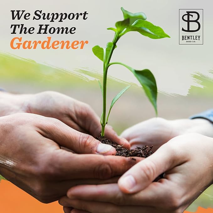 Bentley Seed Garden Variety Pack - Non-GMO Heirloom Vegetables - 8 Assorted Plant Seeds for Growing Fresh Produce