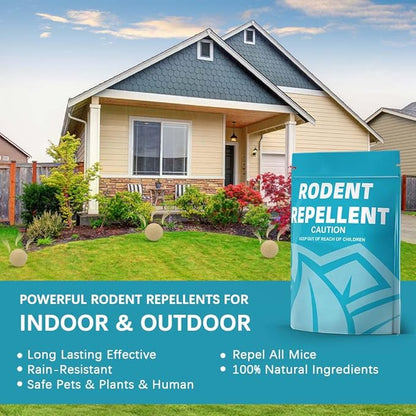 Rodent Repellent, Mouse Repellent, Mice Repellent Indoor, Rat Repellent, Mouse Deterrent for Car, Peppermint Balls for Mice, Keep Mice Out of Garage, Moth Balls for Outdoor Use-12Pcs