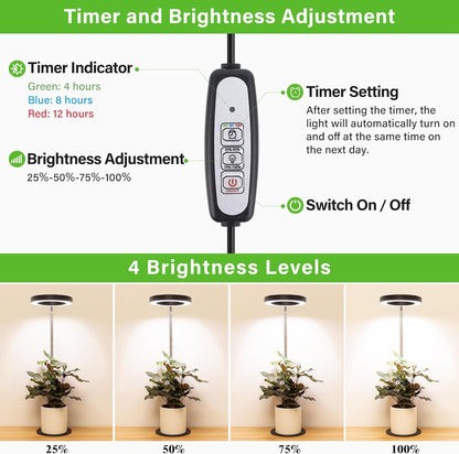 LORDEM Grow Light, LED Plant Light for Indoor Plants Growing, Full Spectrum Desk Growth Lamp with Automatic Timer for 4H/8H/12H, 4 Dimmable Levels, Height Adjustable 9.8"-30.6", 2 Packs of Black