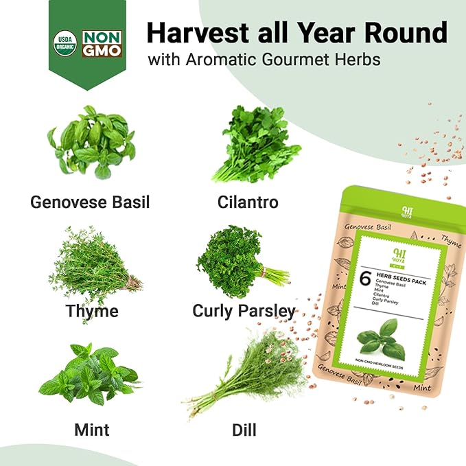 Herb Seed Pod Kit, Grow Anything Kit for All Hydroponics Growing Systems, 14 Pods with 600+ Seeds of Genovese Basil, Thyme, Mint, Cilantro, Curly Parsley and Dill, Grow Your Own Herb Garden at Home