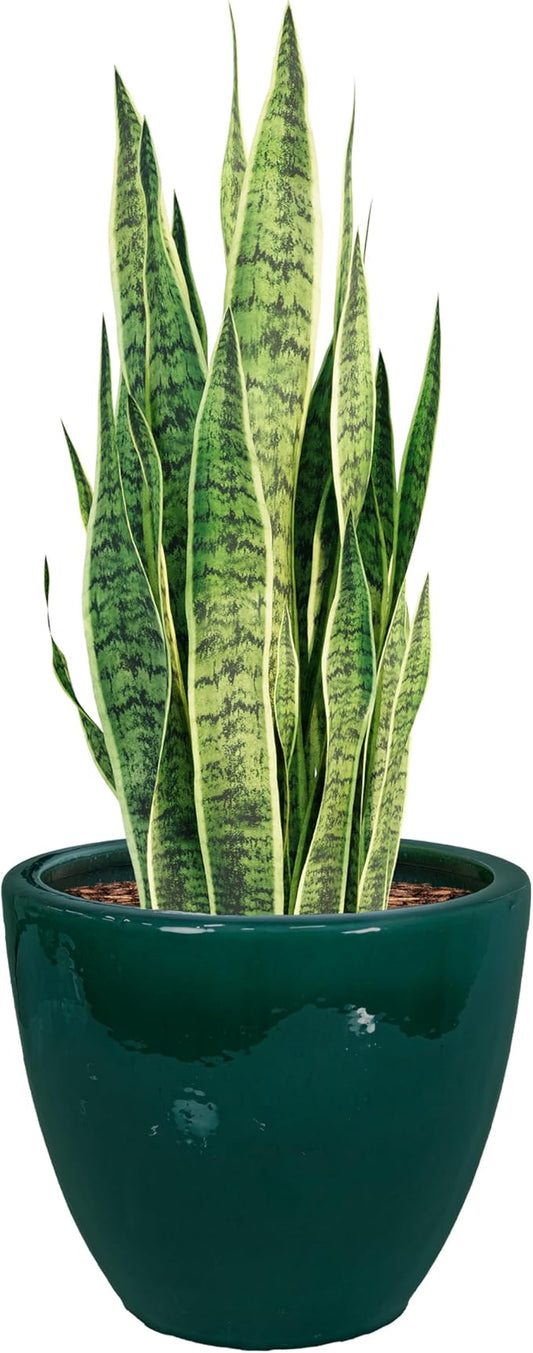 Sunnydaze Large Ceramic Plant Pot - Round Outdoor Glazed Ceramic Planter Pot with Drainage - Resort - Dark Green - 14.5"