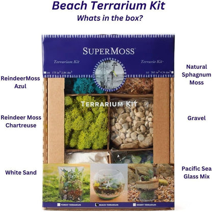 SuperMoss (90420) Beach Terrarium DIY Kit – Create Stunning Nature-Inspired Mini Gardens – Perfect for Home Decor, Office Gifts, and Plant Lovers, Appx 8 Oz