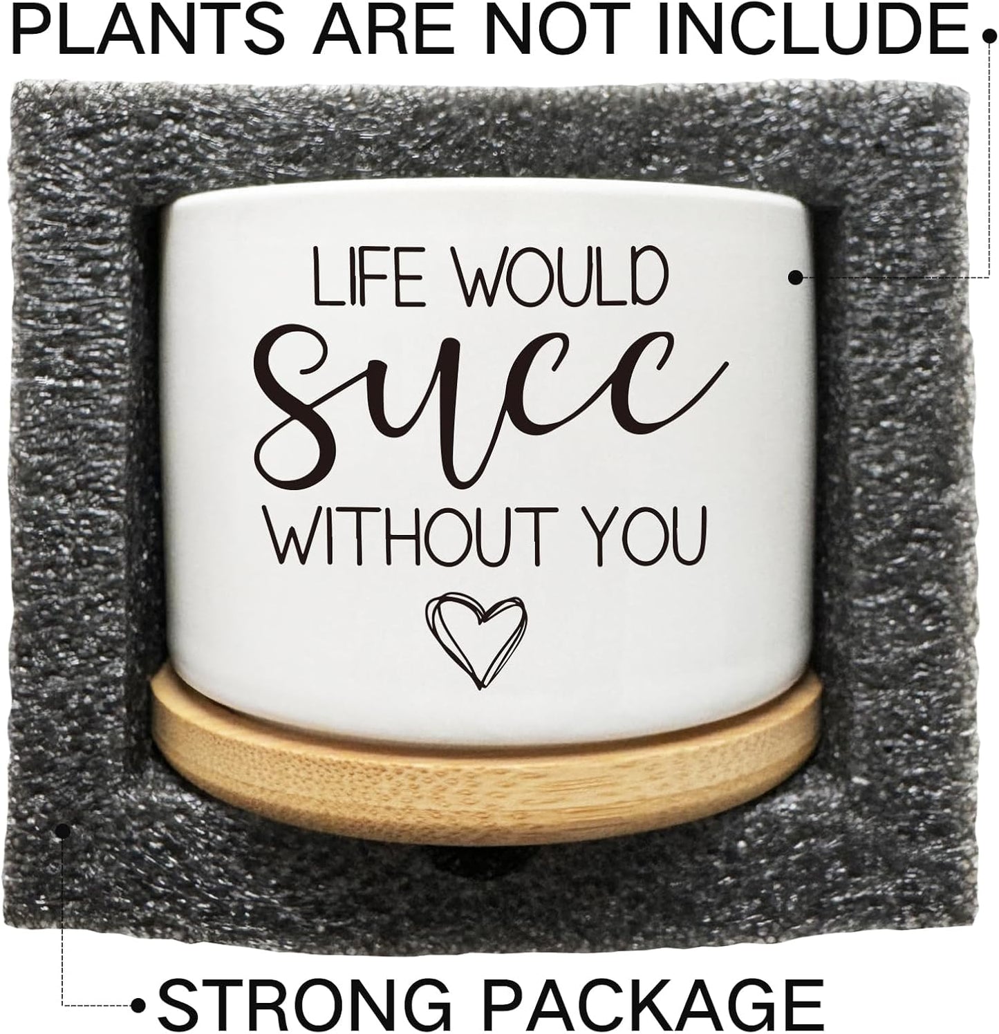 Life Would SUCC Without You Succulent Cactus Cute Planter Pots with Bamboo Tray, Office Kitchen Home Windowsill Indoor Decor, Gift for Friends Mom Coworkers Teachers Plant Lovers