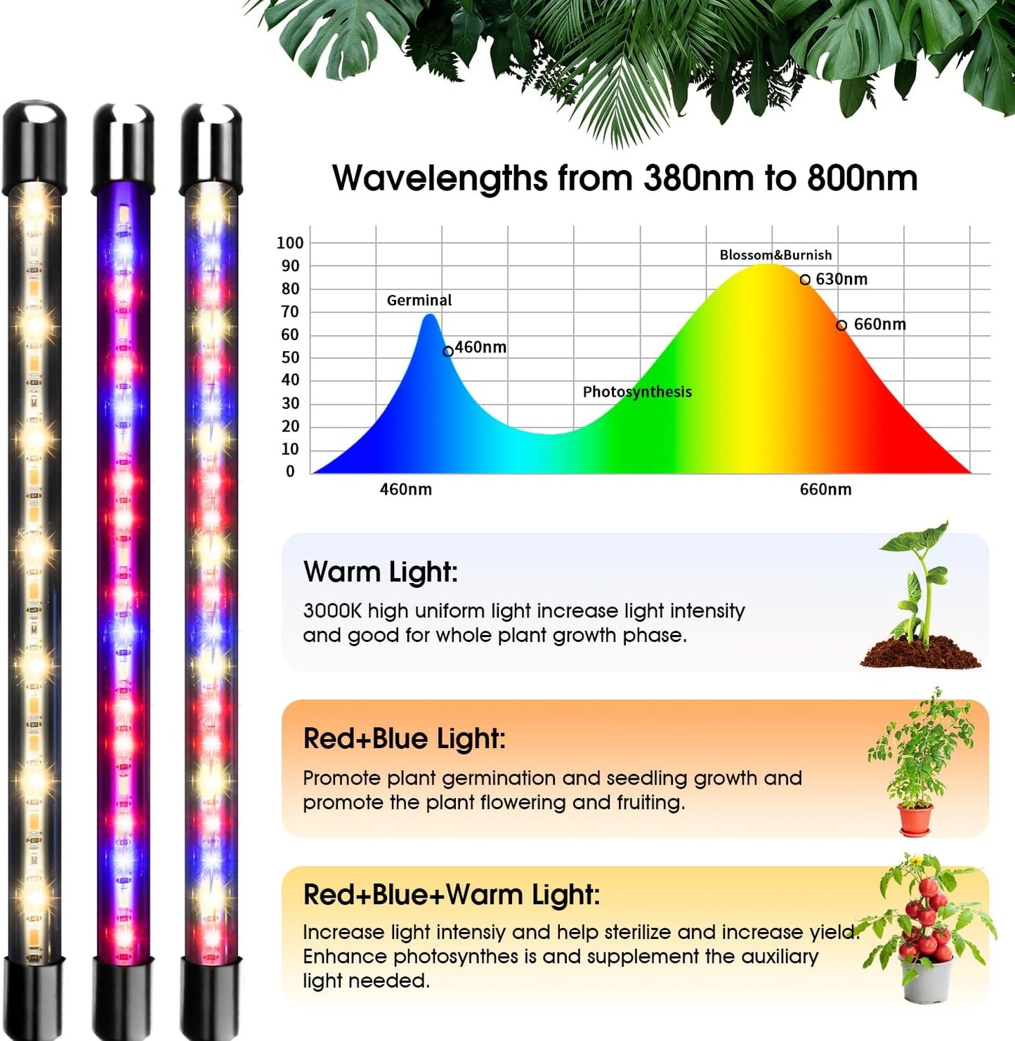 Wolezek Grow Lights for Indoor Plants, 80 LEDs 4 Heads Full Spectrum Red & Blue Plant Light with Clip, Grow Lamp with 6/12/16H Auto Timer, 3 Switch Modes for Seedlings and Succulents