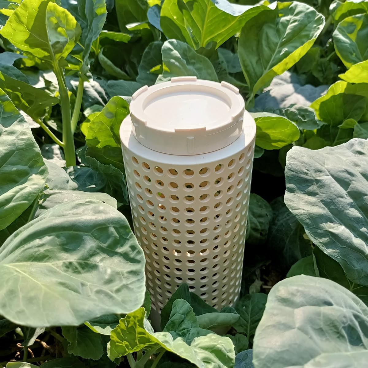 Inground Garden Compost Bin Underground Worm Farm Compost Bin Reducing Food Waste Composting Systems Suitable for Garden, Vegetable Patch, Backyard (White, 11.81 x 6.3 x 6.3 Inch)