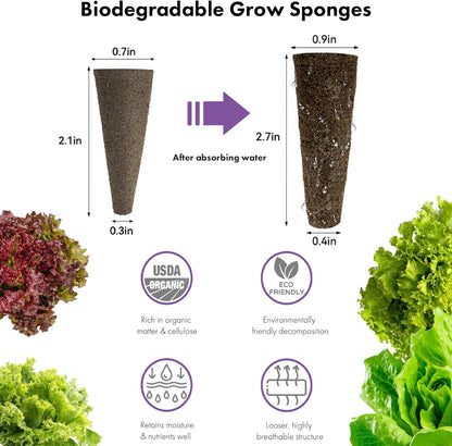 LYKOCLEAN Salad Romaine Lettuce Seed Pods for AeroGarden,Ahopegarden, iDOO Hydroponics Growing System,350 Seeds+ Including American Lettuce,Paris Island Cos Lettuce,Buttercrunch Lettuce (12-Pods)