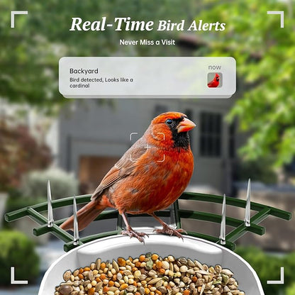 Smart Bird Feeder with Camera, 2K HD AI Identify Birds Species, Bi rd Watching Camera with Solar Panel, Instant Notifications, Ideal Present for Bird Lover, Dark Green