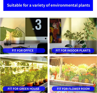 13 Inches Strip Growing Lamp for Indoor Plants, 3500K Full Spectrum LED Grow Light Strips with Auto ON/Off, 3/9/12H Timer & 10 Dimmable Levels for Green House Succulent (2 Head×3 Pack)