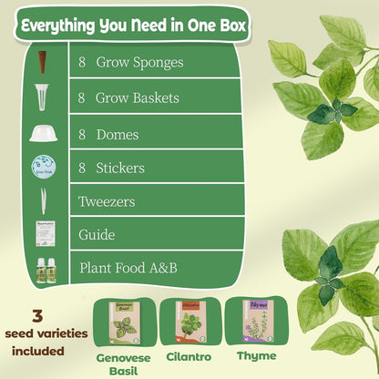 Herb Seed Pods Kit Hydroponic - Refill Pod for All Indoor Garden, 8 Grow Pods with Seeds of Genovese Basil, Cilantro and Thyme, Compatible with All Hydroponics Growing Systems