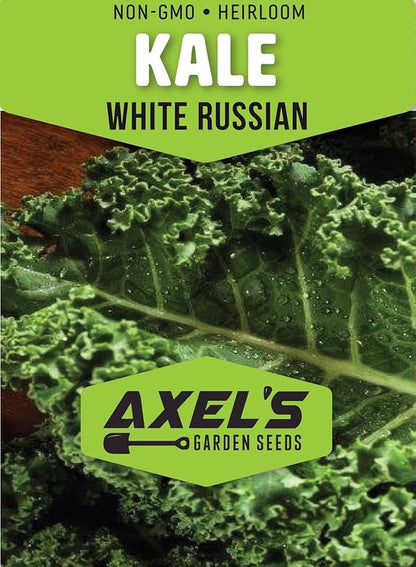 Kale Seeds for Planting - Plant & Grow Heirloom Kale Varieties Home Outdoor Garden – Easy Grow Planting Packet Instructions Included, Great Gardening Gift – 3 Packets of Each Variety