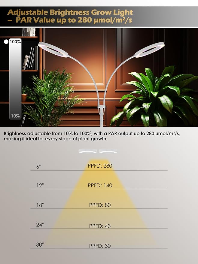 GLOWRIUM Grow Lights for Indoor Plants,Plant Light with 3/9/12/16H Grow Light Timer,2-Head 48W Full Spectrum LED Grow Light, 3 Lighting Mode and Stepless Dimming (White, 48W)
