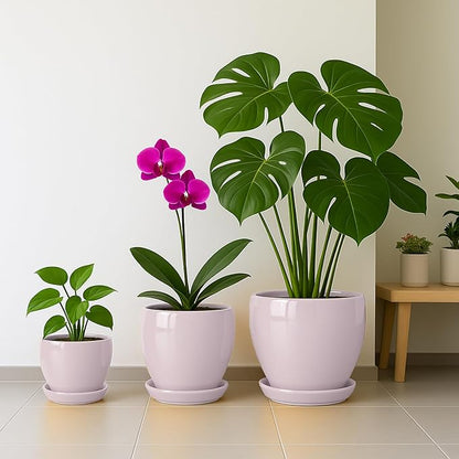 Deep Dream 6 Inch Plant Pots- Ceramic Planter Pot with Drainage Hole and Saucer, Round Flower Pot for Indoor Outdoor Succulent, Snake Plants and Cactus, Pink