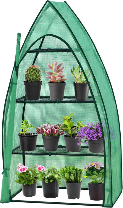 EAGLE PEAK 4-Tier Mini Greenhouse Portable Green House with Shelves & Weather-Resistant PE Cover, Small Greenhouse for Seedlings & Gardening Gifts, 35x18x63 in, Clear/Green