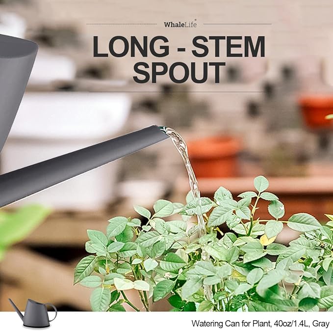 WhaleLife Indoor Watering Can for House Bonsai Plants (1.4L, Gray)