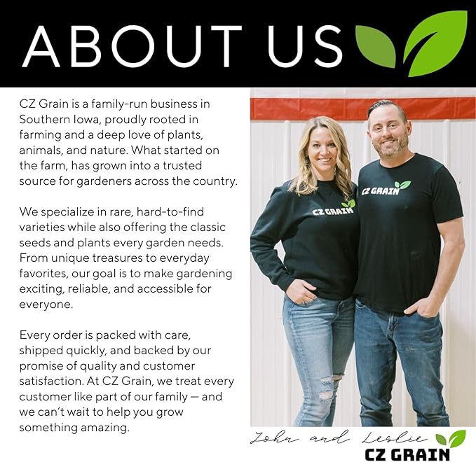 Hollyhock Seeds for Planting, Mixed Colors - 100+ Seeds - Long Blooming Period in All Zones