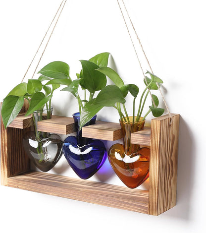 Plant Terrarium Propagation Stations Hydroponics Home Garden Decoration Gift for Women with Wooden Stand Heart Shaped Colored Glass Vase
