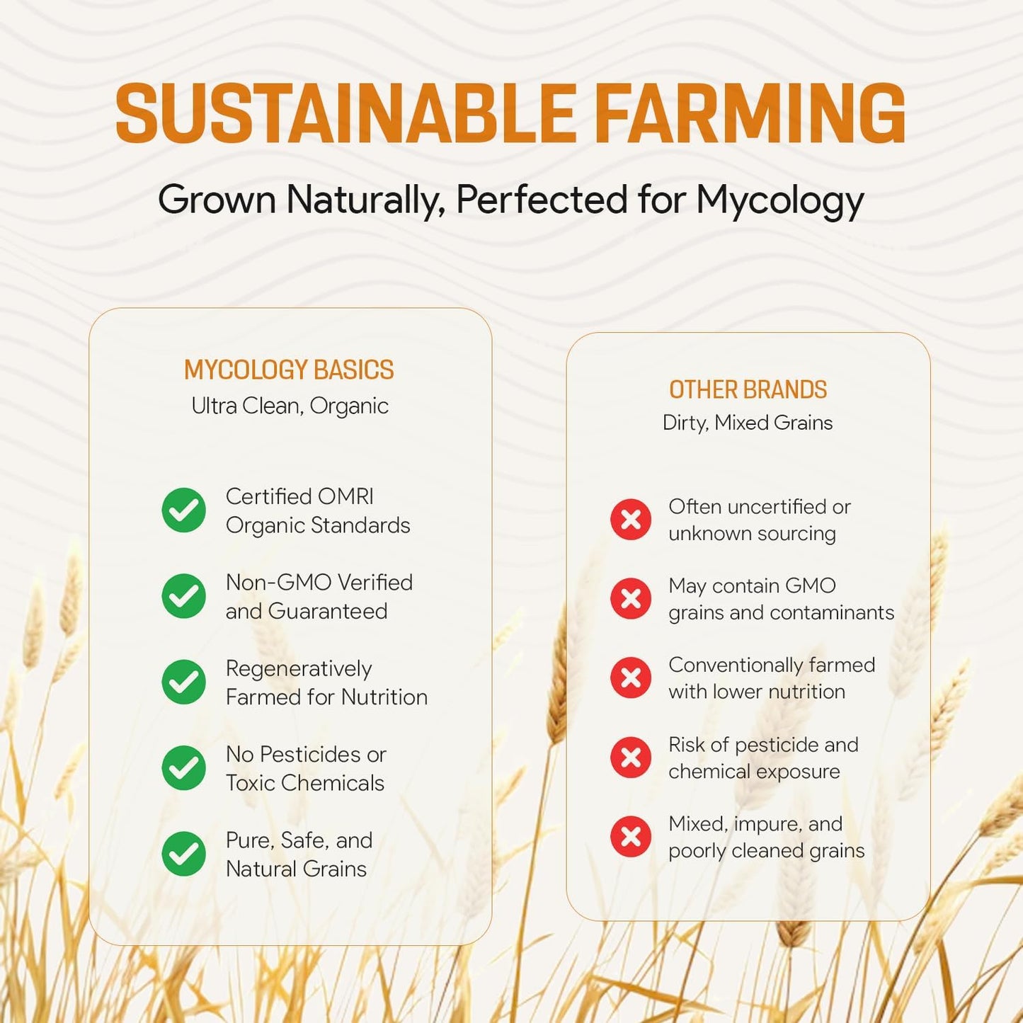 Rye Berries for Mushroom Spawn - Organic, Triple Washed Rye Grain to make Mushroom Grainspawn by Mycology Basics - 5 lbs