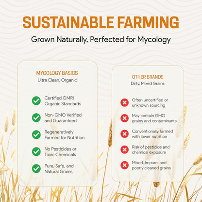 Rye Berries for Mushroom Spawn - Organic, Triple Washed Rye Grain to make Mushroom Grainspawn by Mycology Basics - 5 lbs