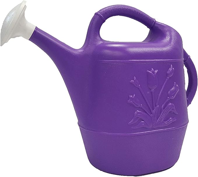 PMU 2 Gallon Watering Can - Garden Watering Can for Indoor & Outdoor Plants - Plastic Water Can with Detachable Sprinkler Head - Large Water Pot, Made in USA - Purple Pkg/1