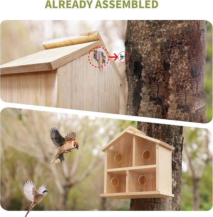 Window Bird Houses for Outside, See Through Upgraded Wooden Birdhouse Outdoors, Bird Nest Transparent Design for Easy Observation, Best Gift for Kids