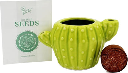 BUZZY Seeds 4pk Mini Cactus Grow Kit with Ceramic Planter, Succulent Seeds, Growing Medium, Easy Instructions, Indoor Gardening Gift for Beginners, Birthdays, Housewarming and Home or Office Décor
