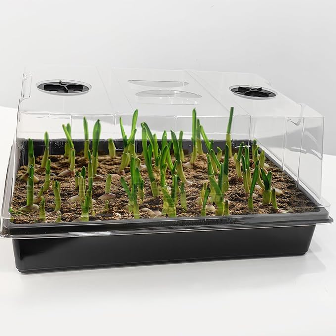 4-Pack Seed Starter Trays with 5'' Tall Humidity Domes – Reusable Plant Germination Kit for Microgreens, Herbs & Indoor Gardening | Clear Vented Lids, Fast Seedling Growth & Durable Design