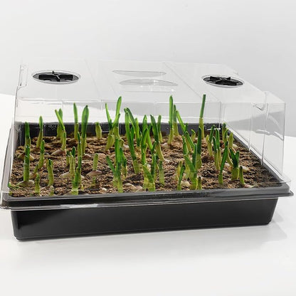 4-Pack Seed Starter Trays with 5'' Tall Humidity Domes – Reusable Plant Germination Kit for Microgreens, Herbs & Indoor Gardening | Clear Vented Lids, Fast Seedling Growth & Durable Design