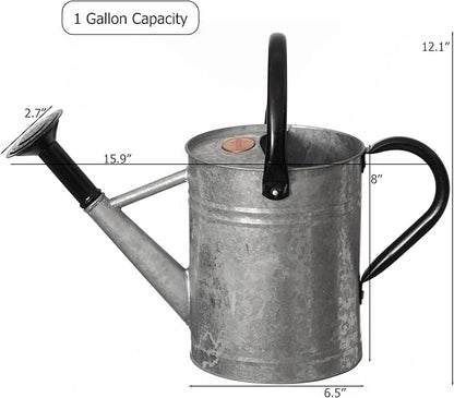Gardenised 1 Gallon Metal Watering Can with Removable Long Spout & Sprinkler Head for Indoor & Outdoor Use Ideal for Garden Flowers Potted Plants Houseplants Modern Decorative Home Accessories, Silver