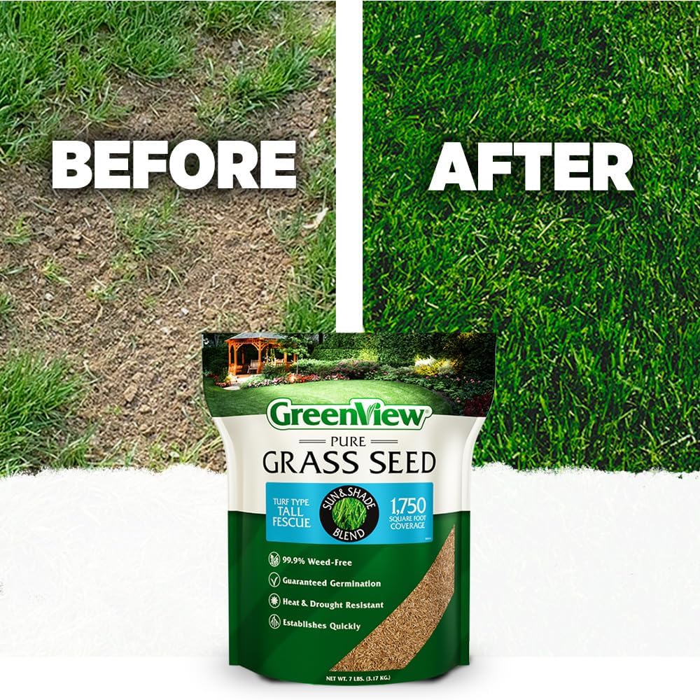 GreenView Pure Grass Seed Turf Type Tall Fescue Sun & Shade Blend, 20 lb. Bag – Covers up to 5,000 sq. ft.