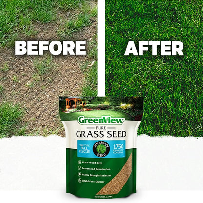 GreenView Pure Grass Seed Turf Type Tall Fescue Sun & Shade Blend, 20 lb. Bag – Covers up to 5,000 sq. ft.