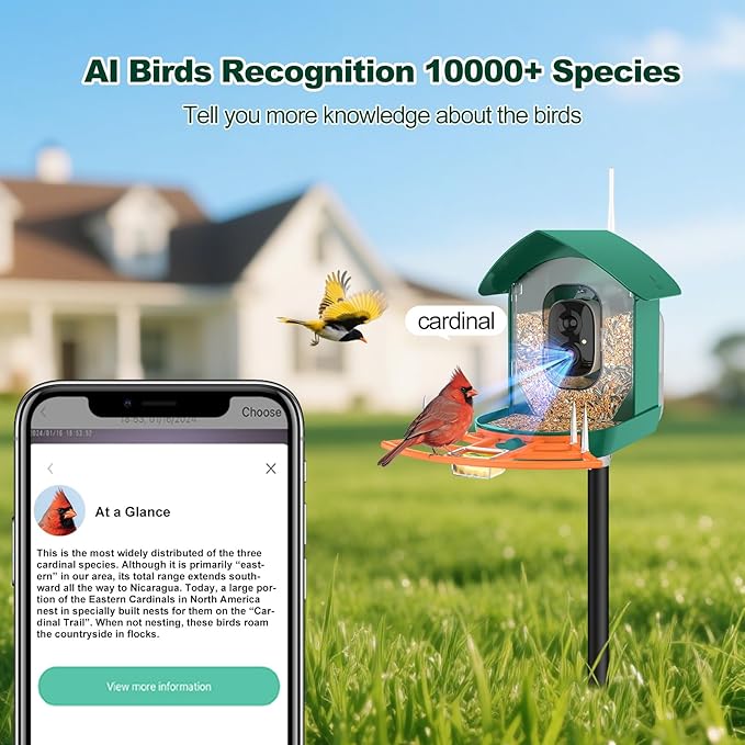 Bird Feeder with Camera,WiFi Smart Bird House with Cam Solar Powered for Outdoor,AI Identify,App Notification,Night Vision,2K Live View,Auto Record Video,Birdwatching Gifts for Family,Birds Lover