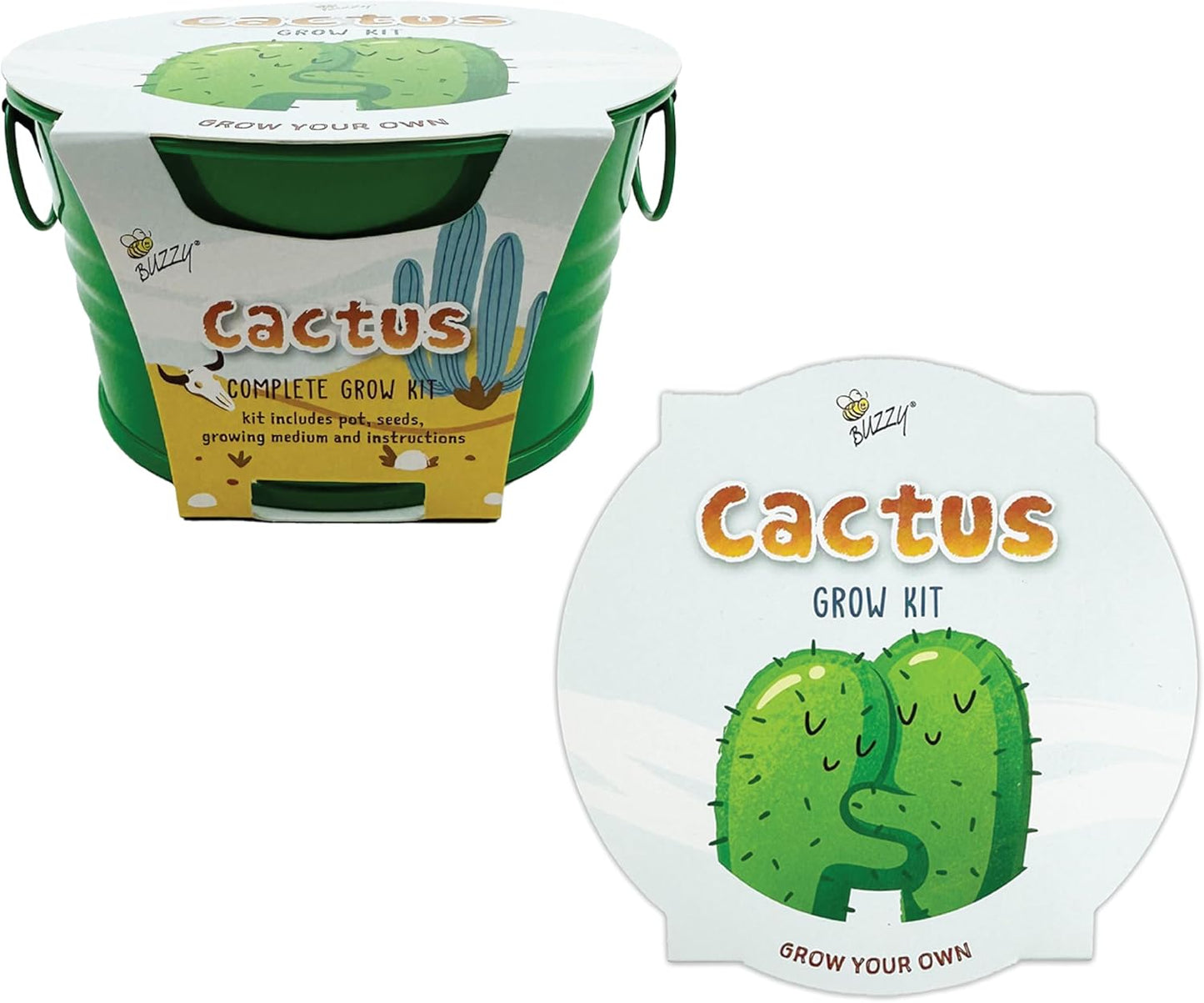 Buzzy Seeds Kid's Cactus Mini Basin Grow Kit | Green Painted Basin | Guaranteed to Grow | Fun Indoor-Outdoor Gardening Gift for Kids